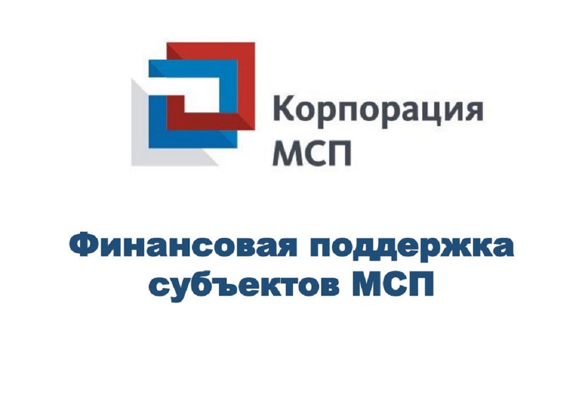 Информационно-консультационная поддержка субъектов МСП.