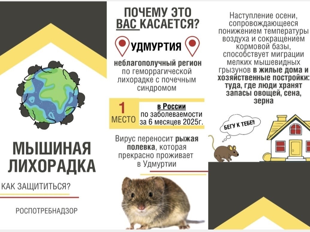 Как обезопасить себя от геморрагической лихорадки с почечным синдромом?.