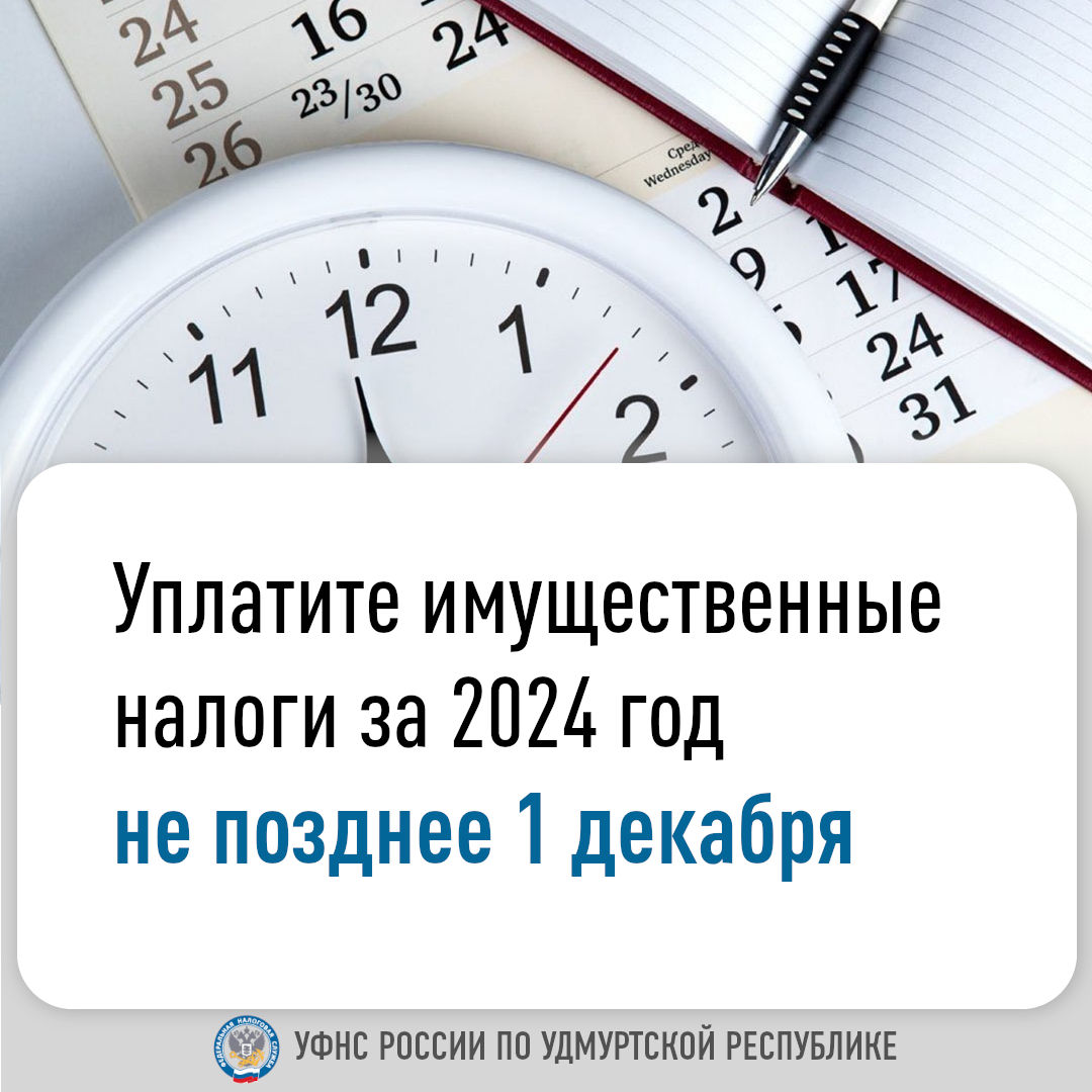 Уплатите имущественные налоги за 2024 год не позднее 1 декабря.