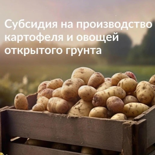 О предоставлении субсидий личным подсобным хозяйствам.