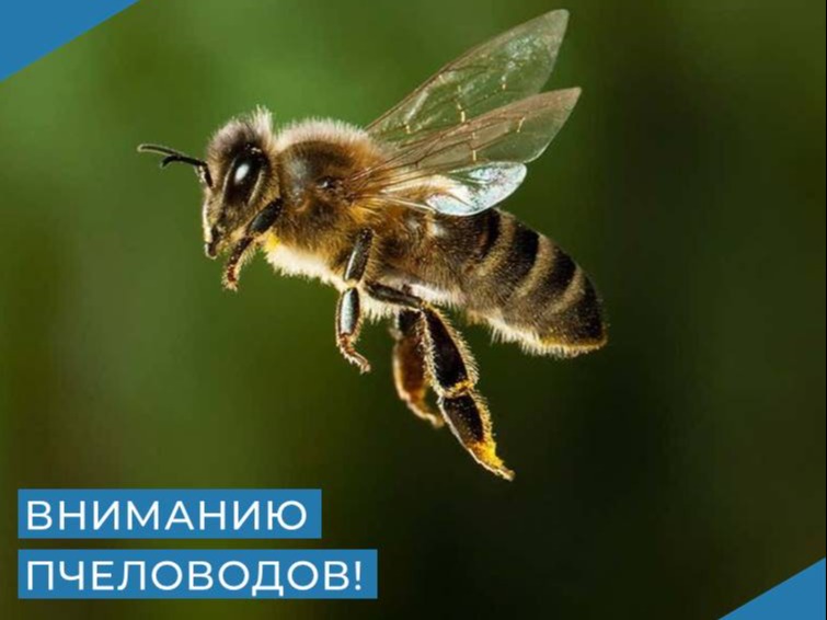 Оповещение о проведении сельскохозяйственных работ с применением пестицидов.