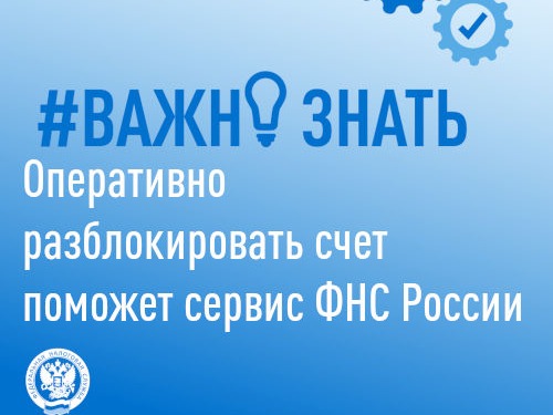 Оперативно разблокировать счет поможет сервис ФНС России.