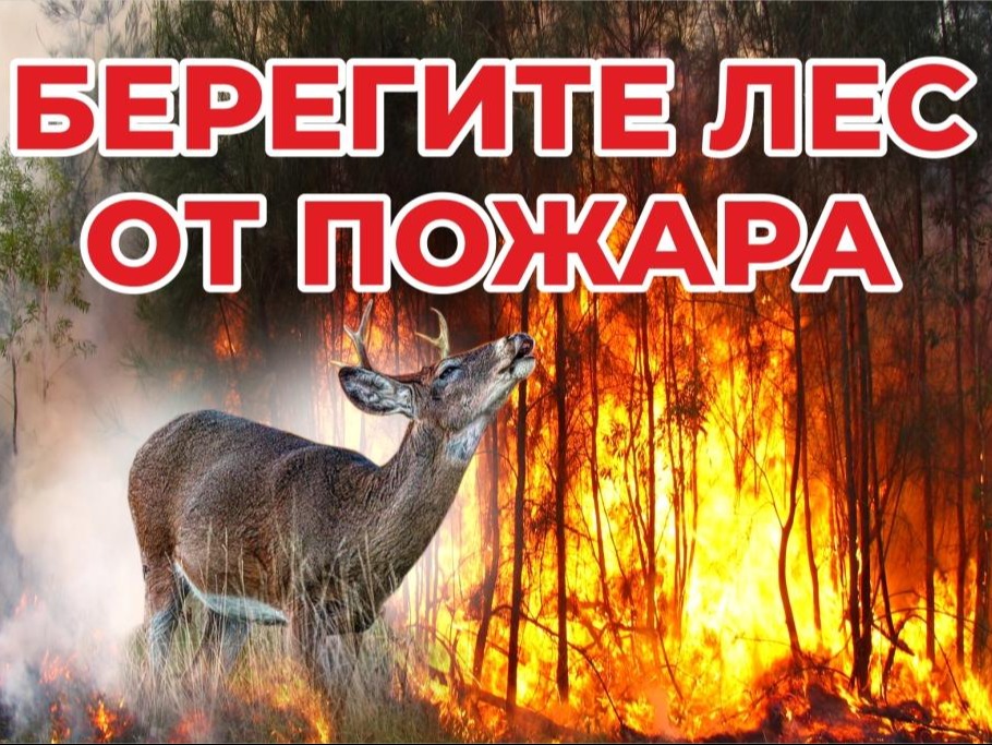 Увинское лесничество напоминает жителям и гостям  района!.