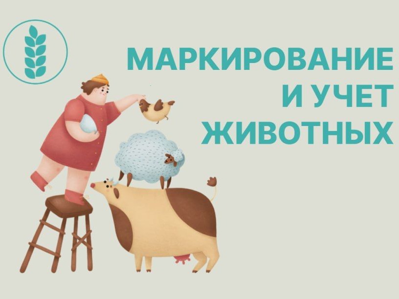 Маркирование животных и птиц.
